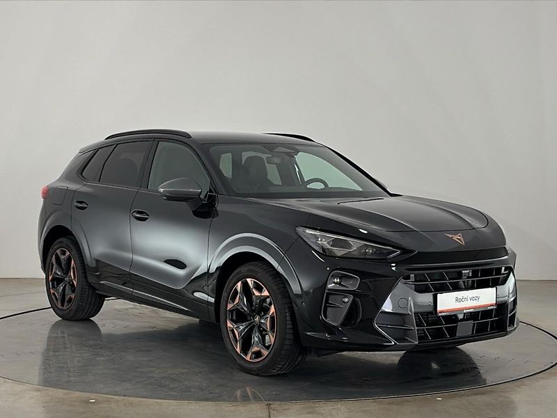 Cupra Terramar 4WD DSG - fotka 14 z 29