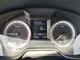 Škoda Octavia 2.0 TDI/110kW Style 4x4 - náhled 16