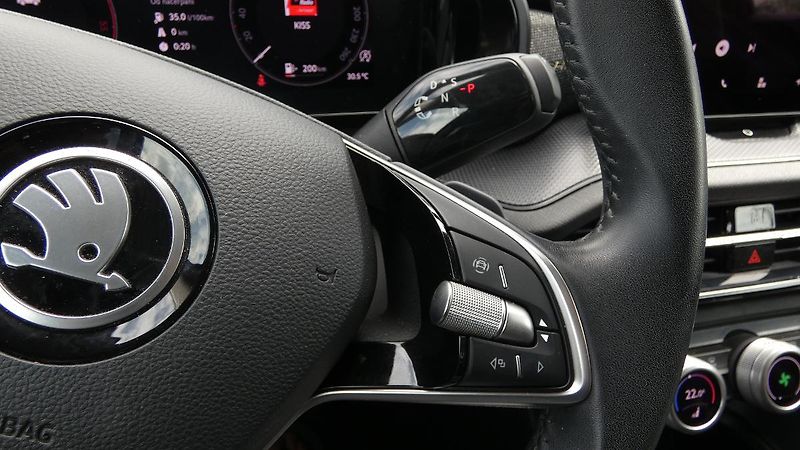 Škoda Kodiaq 2,0 TDi Selection 142 kW 4x4 D - fotka 13 z 26