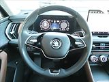 Škoda Kodiaq 2,0 TDI 142kW Excl. Selection - náhled 31