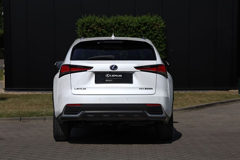 Lexus NX 300h 300H 2,5 HEV PRESTIEGE SAFETY - fotka 6 z 25
