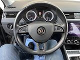 Škoda Octavia (2020) 2.0TDI 110KW*NEZ.TOPENÍ*TZ ! - náhled 13