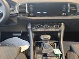 Škoda Karoq (2024) SEL TS 110/1.5 A7F - náhled 13