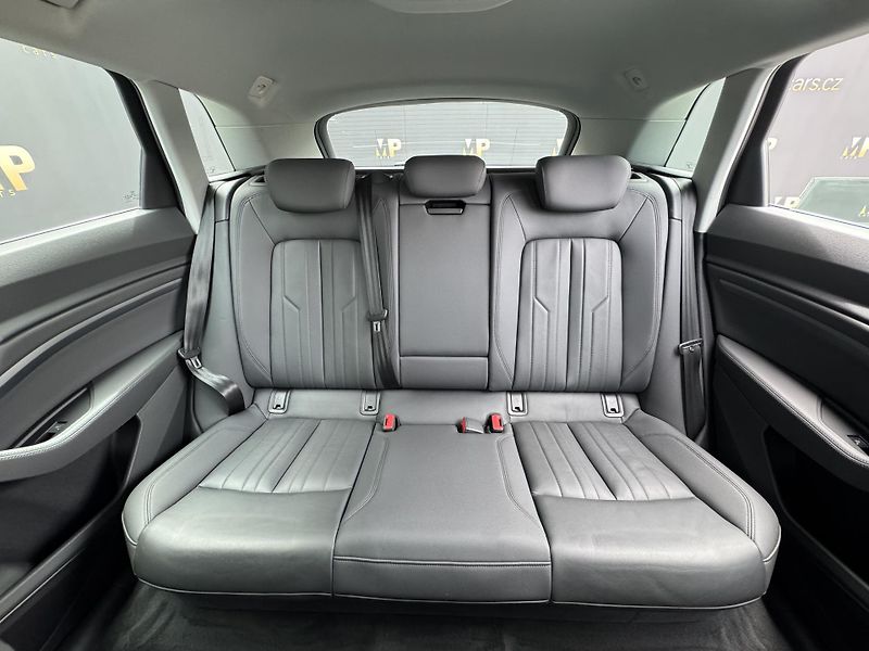 Audi e-tron (2020) Quattro 230kW Advanced, PANO - fotka 18 z 54