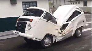 Tento Volkswagen se zdá býti nesmrtelným. Nezastaví ho ani padlý strom.