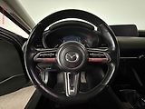 Mazda 3 (2020) 2.0i, 1.maj,ČR, AC, LED, navi - náhled 12
