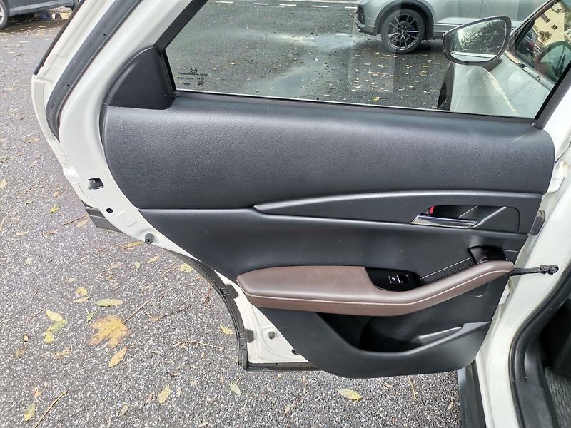 Mazda CX-30 (2021) 2.0i 137kw AUT 4x4 Kamery ČR - fotka 17 z 26