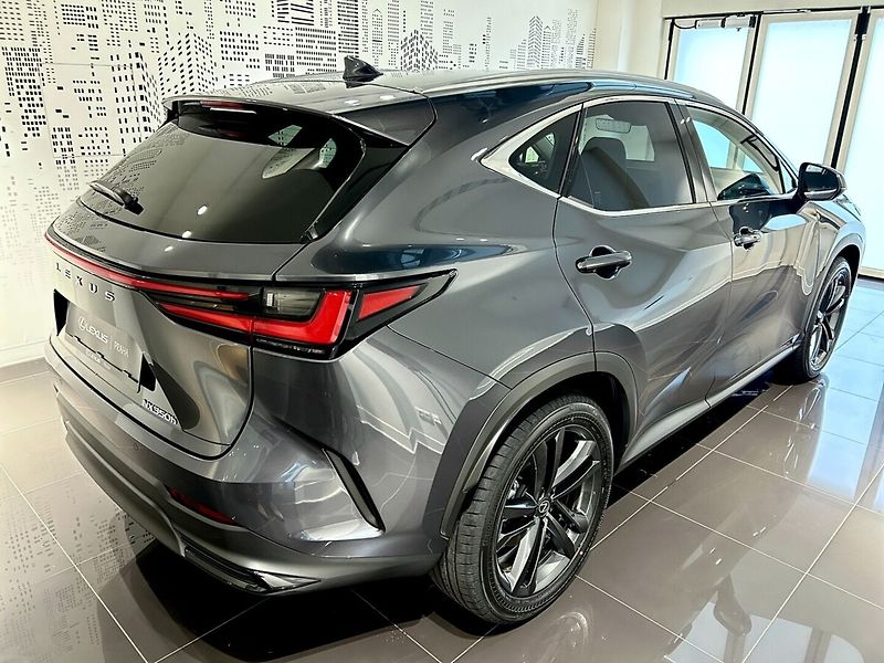 Lexus NX 350h 350h 2.5 HEV EXECUTIVE TOP - fotka 4 z 10