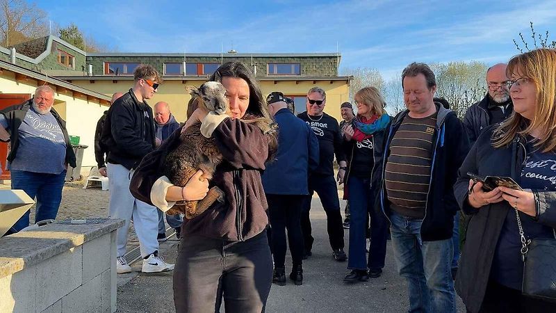 Malá auta, velká srdce. Smarťáci navštívili jarní Vlašim a adoptovali mývala
