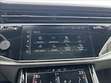 Audi Q7 55 TFSi e,ACC,Pano,DPH,1.Maj - náhled 18