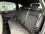 Ford Kuga (2025) ST-Line, 5dveřová, 1.5 EcoBoos - náhled 11