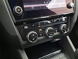 Škoda Octavia (2019) 1.0 TSI, Kůže, Tempomat - náhled 14