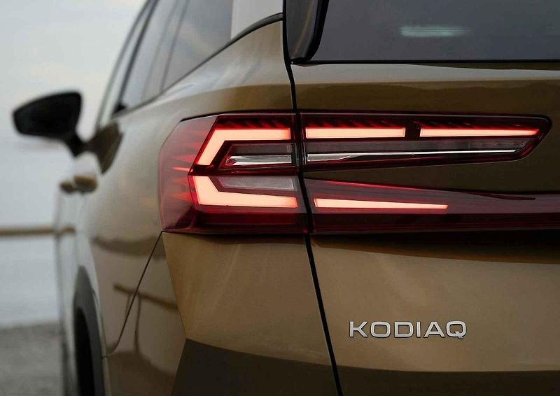 Nový Kodiaq bude často vozit rodiny na výlety