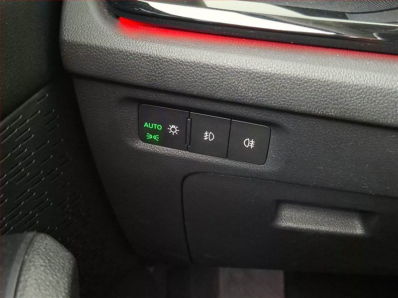 Škoda Octavia (2021) 2.0 TDI, Automat, ČR,1.maj - fotka 20 z 21