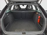 Škoda Octavia (2017) RS 2.0 TDI 4x4 DSG, 4X4 - náhled 14