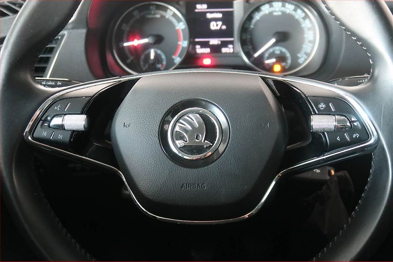Škoda Fabia (2022) 1.0 TSI, ČR,1.maj, Serv.kniha - fotka 16 z 17