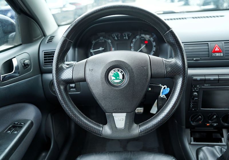 Škoda Octavia 1.9 TDI, 110KW/ČR/kůže/Al.kola - fotka 27 z 36