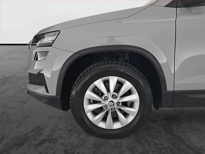 Škoda Karoq (2024) Fresh 2.0 TDI - fotka 15 z 30