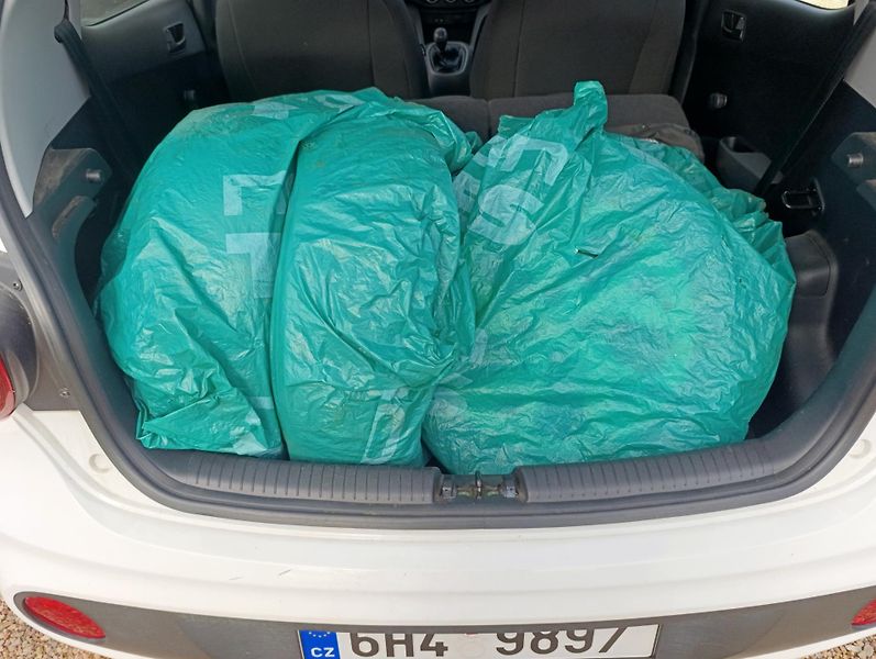 Hyundai i10 (2019) 1.0 Family club - fotka 19 z 23