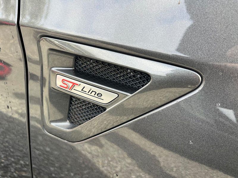 Ford S-MAX (2020) 2.0 TDCi ST Line 140 Kw - fotka 18 z 24