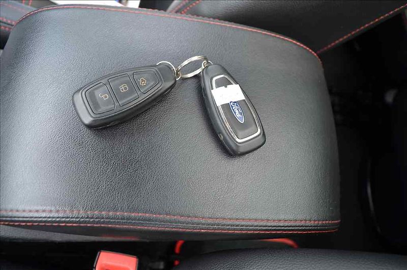 Ford S-MAX (2014) 2,0 TDCI AT - fotka 15 z 21