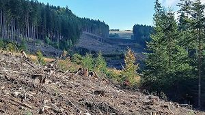 Trasa budoucí dálnice D35 u Maletína v lokalitě Jahodnice - Kubíčkův lom.