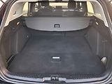 Ford Focus (2019) 1.5 TDCi, Titanium, LED - náhled 7