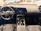 Lexus NX 350h (2025) 2,5 Executive  NX - náhled 10