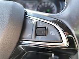 Škoda Octavia (2014) 1,6TDI DSG STYLE*VELKÝ SERVIS* - náhled 37