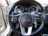 Kia Ceed (2019) 1.6 CRDi, ČR, AC, tempo - náhled 12