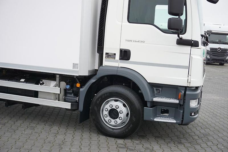 MAN TGM (2019) 15.250 / EURO 6 / CHŁODNIA + W - fotka 18 z 45