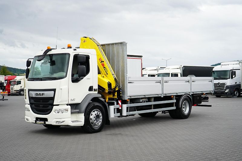 DAF LF (2014) 250 / SKRZYNIOWY + HDS / HYVA  - fotka 10 z 56