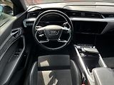 Audi e-tron 50 Quattro Proline Limited - náhled 23