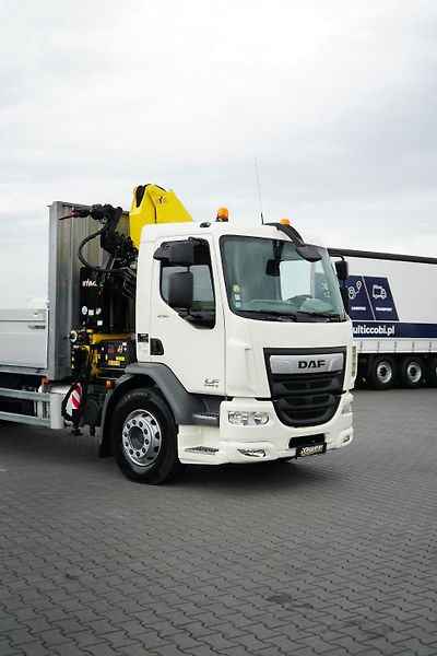 DAF LF (2014) 250 / SKRZYNIOWY + HDS / HYVA  - fotka 24 z 56