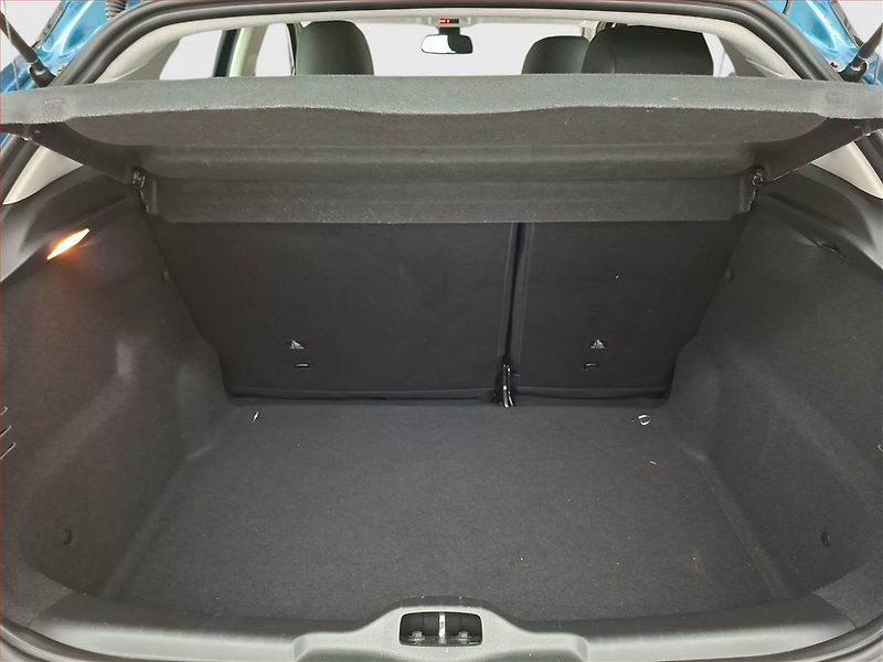 Citroën C4 Cactus (2019) 1.2 PureTech, Serv.kniha - fotka 14 z 15