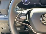 Škoda Kodiaq (2024) 2.0 TDI 4x4 DSG Exclusive Sele - náhled 15
