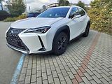 Lexus UX 250h black-white edition, kůže - náhled 2