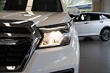 Dongfeng DF 6 (2025) Přověřený vůz - náhled 3