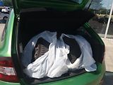 Škoda Rapid 1.4TSi,DSG,XENONY,PANORAMA!! - náhled 12