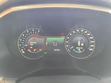 Ford Galaxy 2.0 TDCi SERVISKA.DOL KM - náhled 28