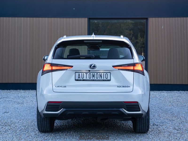 Lexus NX 300h (2020) 2.5 Hybrid AWD adaptív, Navi - fotka 16 z 19