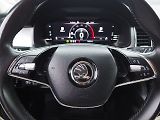 Škoda Kodiaq (2021) 2.0 TDI, 4x4, DSG - náhled 20