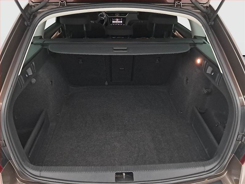 Škoda Octavia (2019) 1.6 TDI, Automat, Tempomat - fotka 14 z 15