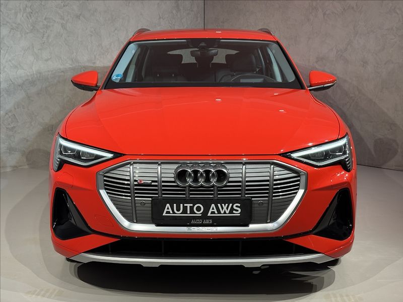 Audi e-tron 300kW S-Line Night Vision - fotka 3 z 48
