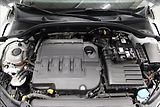 Škoda Octavia 2,0 TDI RS DSG 4x4 virtual pan - náhled 6