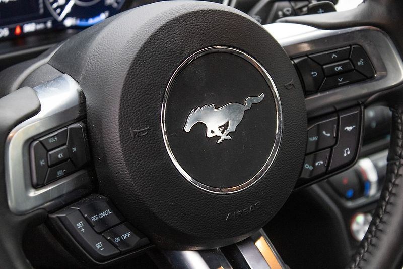 Ford Mustang - fotka 34 z 45
