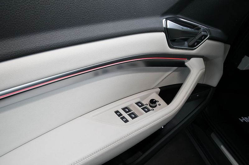 Audi e-tron 55 300kW Ventilace Matrix 360 - fotka 19 z 48