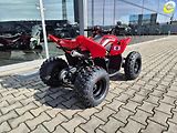 CFMOTO Gladiator X110 (2026) LE - náhled 3