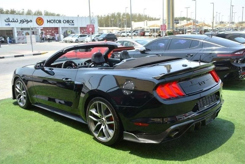 Ford Mustang (2019) 2.3 EcoBoost Convertible - fotka 9 z 23