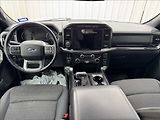 Ford F-150 5,0 V8 298kW - náhled 24